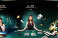 探索AG真人视讯的来源与特点